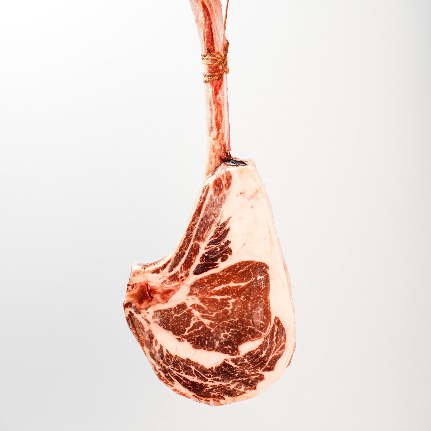 Tomahawk Upperchoice