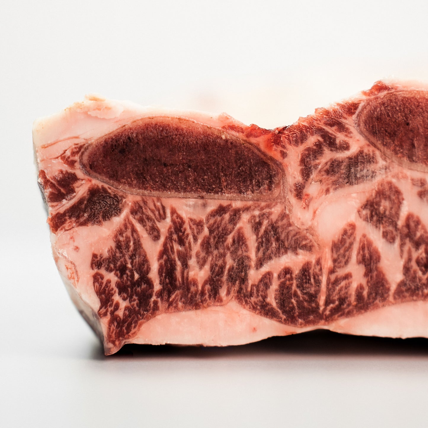 Short Rib Prime