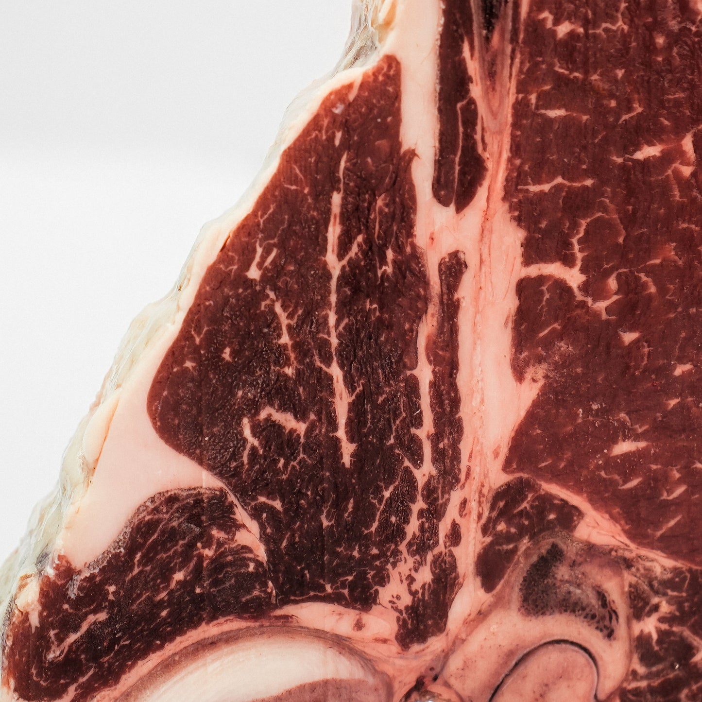 T-Bone Prime