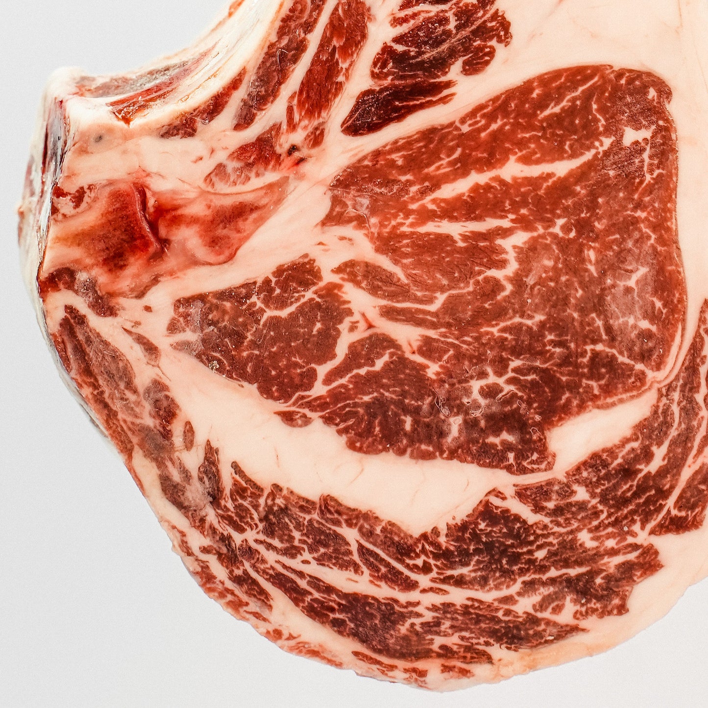 Tomahawk Upperchoice