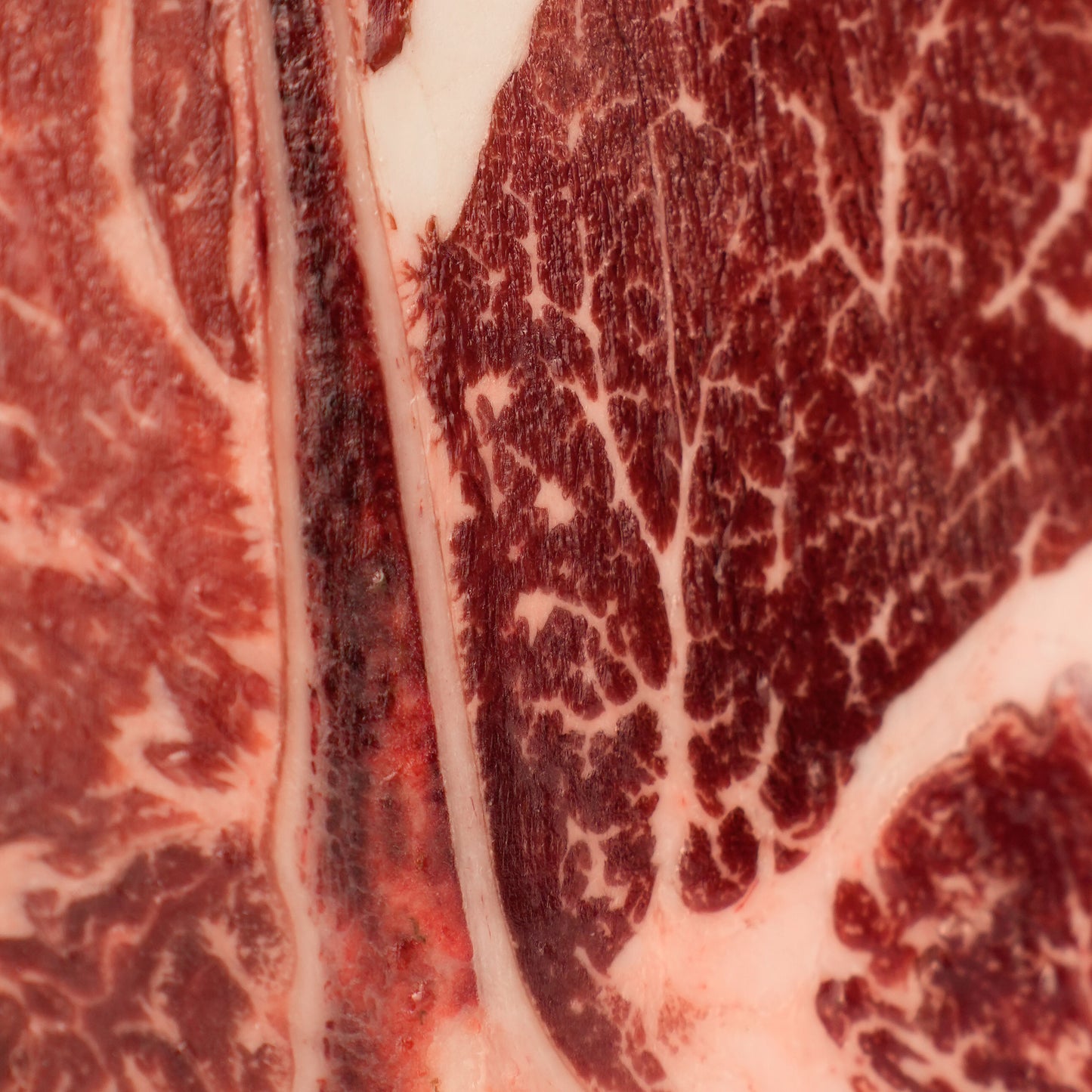 Porterhouse Prime