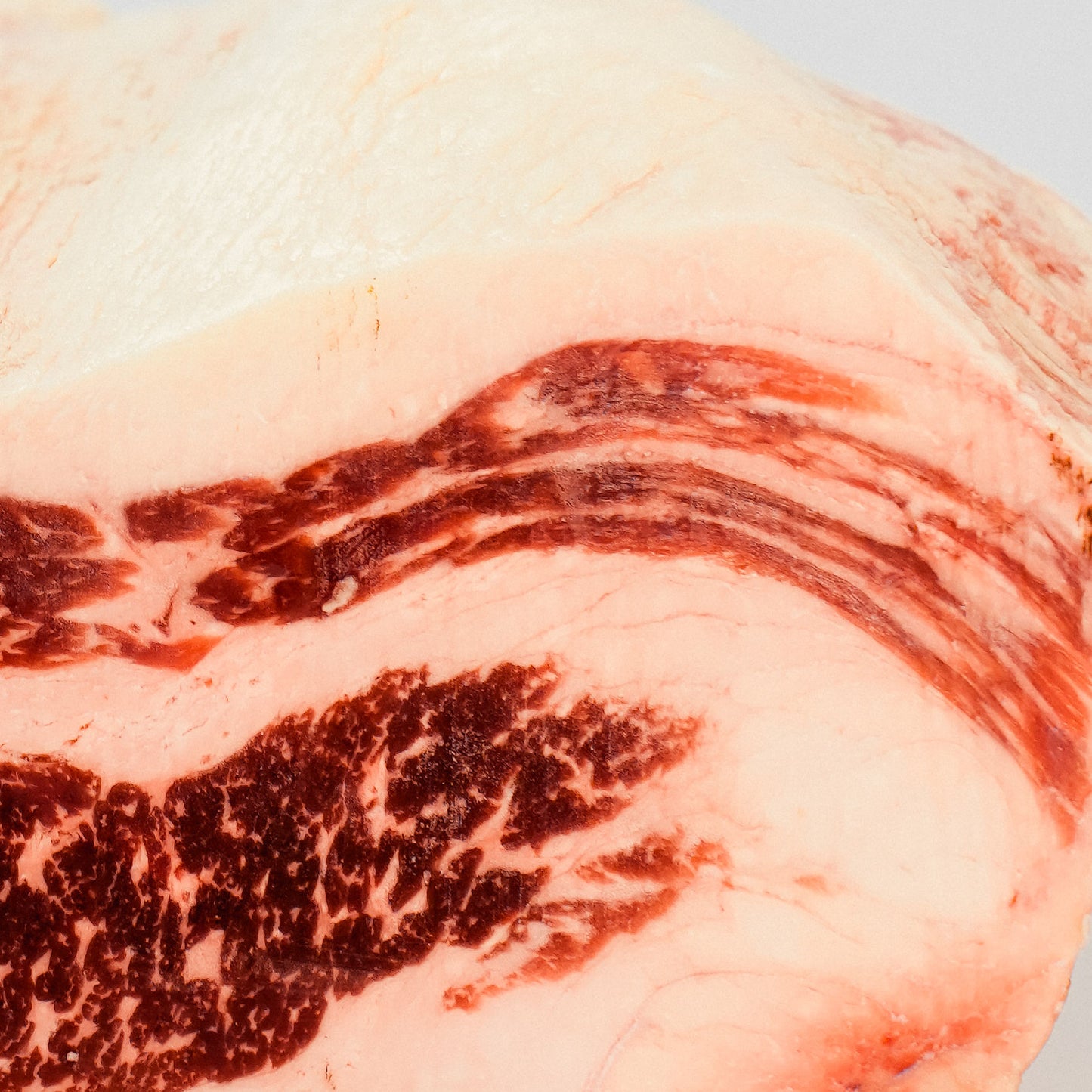 Brisket Choice