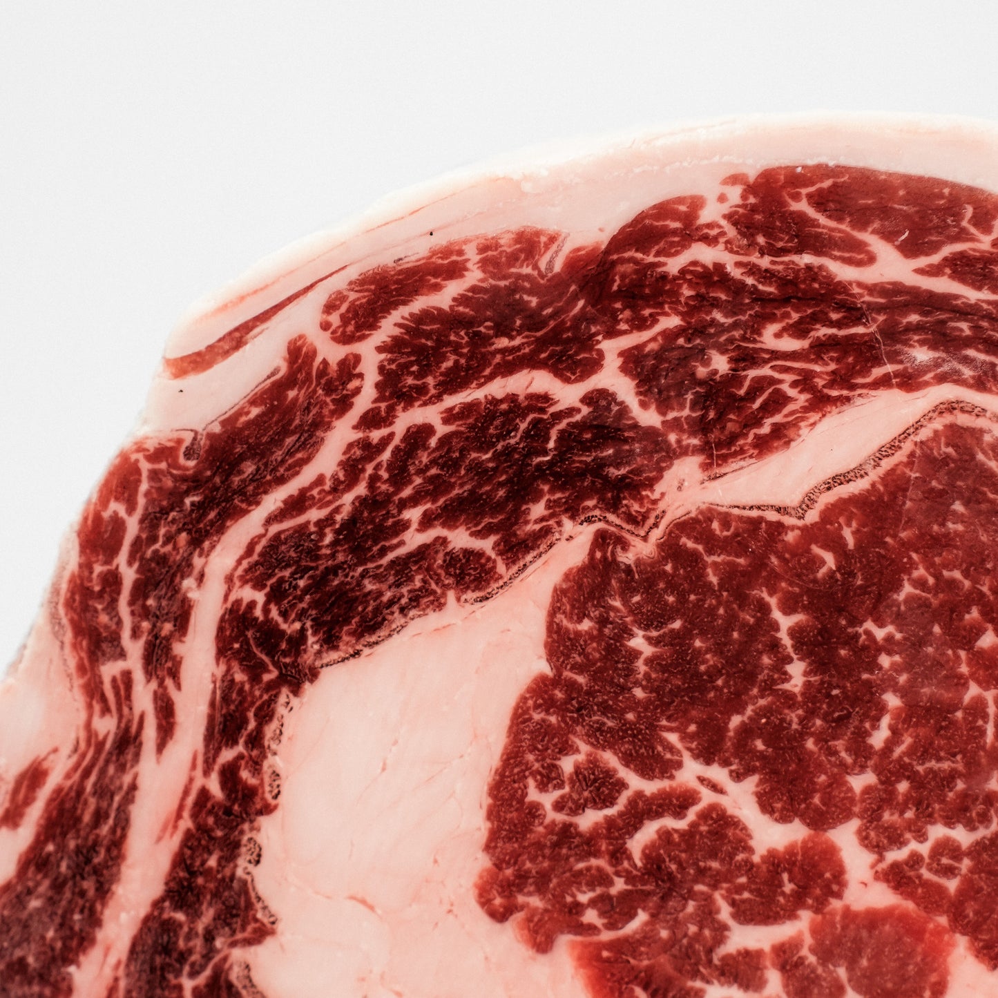 Ribeye Prime