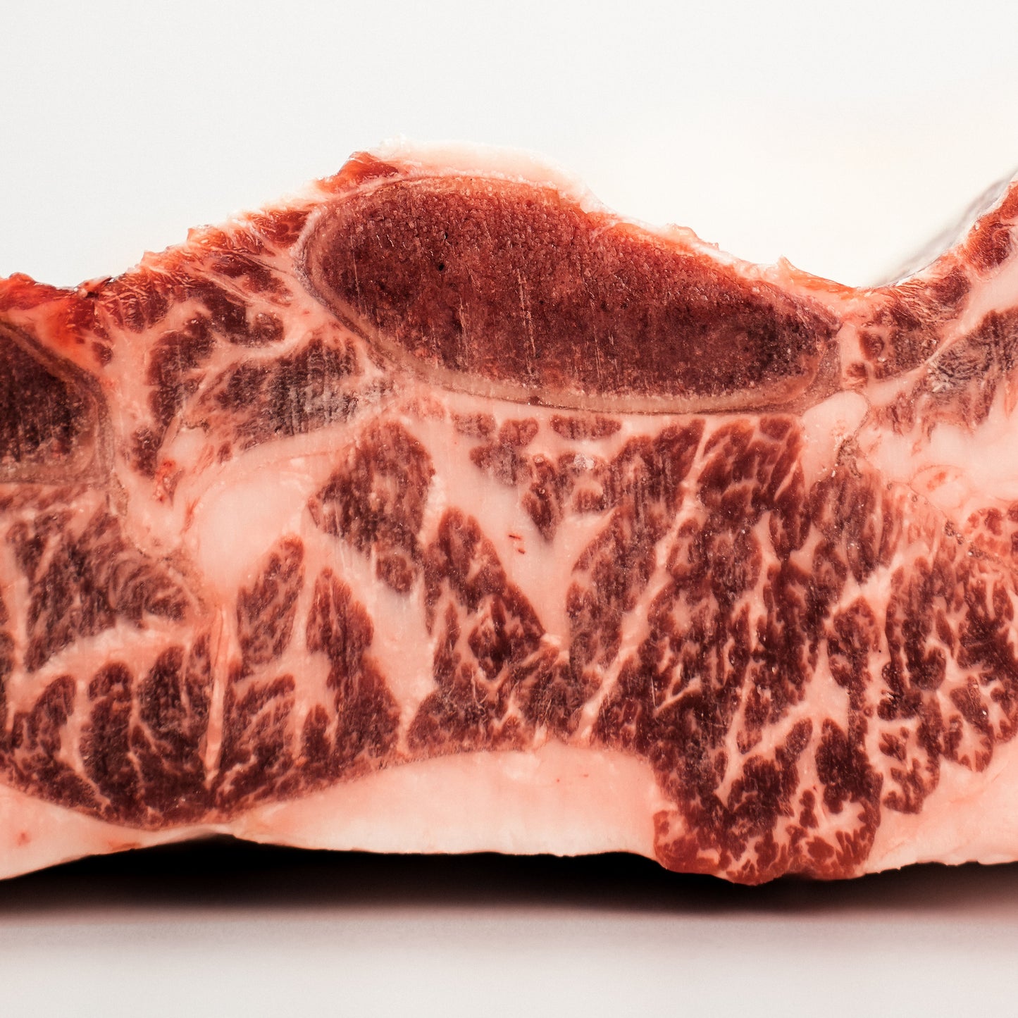 Short Rib Prime