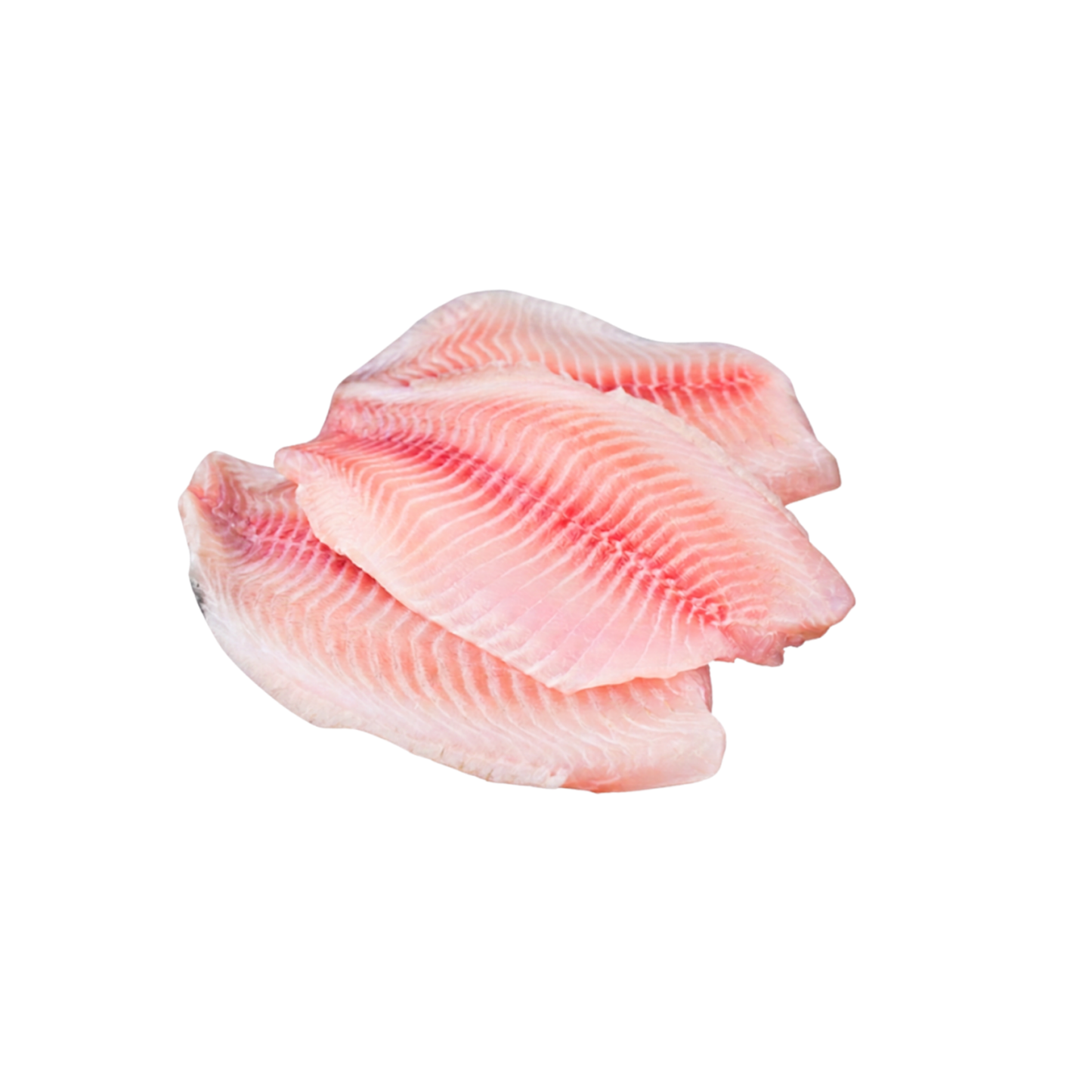 Tilapia