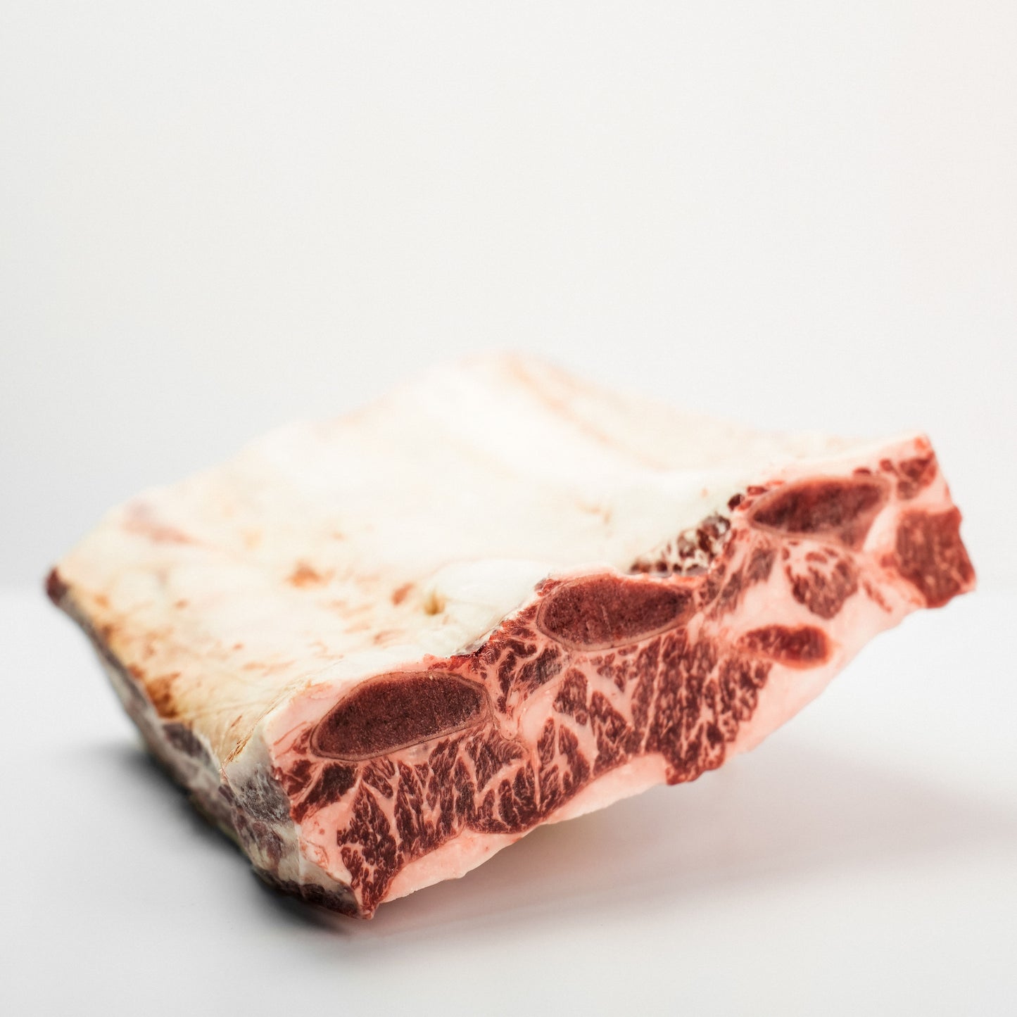 Short Rib Prime